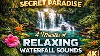 Secret Paradise: 4 Minutes of Relaxing Waterfall Sounds (4K)