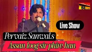 Assan loog sir phire han l Pervaiz Sanwal l Latest Punjabi song 2026