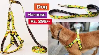 Unboxing Yellow Dog Harness With Leash | Printed Dog Belt | Dog Harness | Belt Fpr Dogs