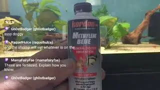 Live streaming of Garys Fish Room