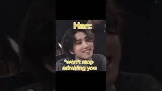 Stray Kids reaction when they see you in the crowd  #straykids #kpop