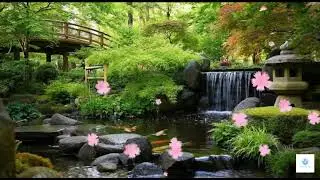 SOOTHING  RELAXATION &ndash; Piano & Water Sounds for Deep Sleep, Meditation, Spa & Yoga