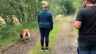 Karaktertest Airah av Melsviken , Sviland 08.08.2020