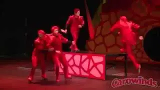 Cirque Imagine At Carowinds