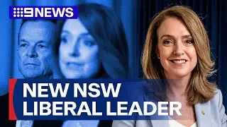 Kellie Sloane named new NSW Liberal leader | 9 News Australia