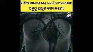 Amazing facts in Odia| Factbook Odia #facts #odiafacts #viral #shorts
