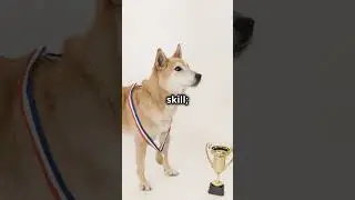 Unbelievable Diamond Discovery Led by a Dog 🤯😱