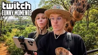 Топ Моменты с Twitch | Прилетели в Африку