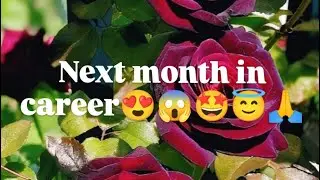 😍 CAREER GUIDANCE 😍 | 💕 PICK A PILE 💕