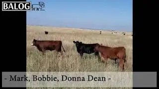 Mark, Bobbie, Donna Dean