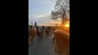 Ausreiten mit der Gang 
