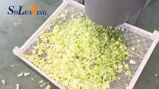 Salad cubes cutting machine vegetables square shape cutting machine