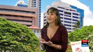 Coco Moon Hawaii Baby Shop (Adventures in Small Business)