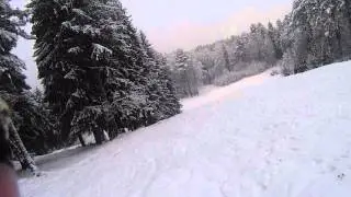 Wood Park Токсово 2