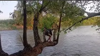 Leydi casi cae al río al subirse a ese gran árbol 😮