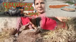 आपके कहने पर बनाया आज ब्लॉग स्पेशल पुराने बीज का👍🙏🏻 #HP #Tulsi Devi #Pahadi life style blog