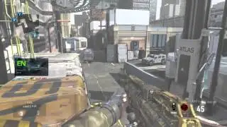 Harlequin- Minitage Advanced Warfare