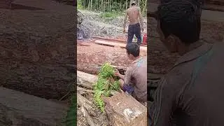 THE SKILL OF SPLITTING WOOD FROM THE SIDE WITH A SMALL CHAINSAW || DENNY MEDIA