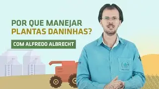 Interferência de Plantas Daninhas na Cultura da Soja