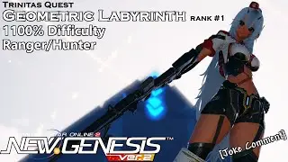 [PSo2:NGS] Geometric Labyrinth Rank #1 Max%  Ranger/Hunter