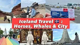 Red Lava Horseback Riding, Whale Watching & Reykjavik Tour | Iceland Travel