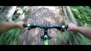 Escursione in mountain bike nell riserva naturale Sfilzi in #forestaumbra #vieste #gargano
