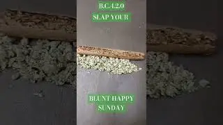 SLAP YOUR BLUNTS HAPPY SUNDAY B.C.4.2.0