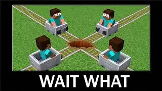 Minecraft wait what meme part 15 (Crazy Rails Race)