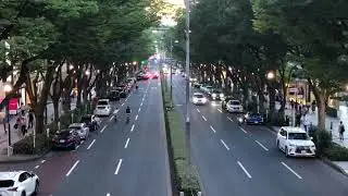 ただ表参道風景。오직 오모테산도 풍경 Find your Tokyo 日本 東京 自由旅行日常旅行일본 도쿄 자유여행 일상여행