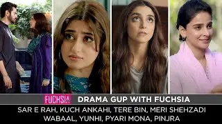 Kuch Ankahi | Tere Bin | Yunhi | Sar e Rah | Meri Shezadi | Pyari Mona | Pinjra | Wabaal | Drama Gup