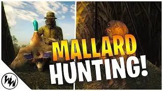 MALLARD DUCKS!! | theHunter Classic
