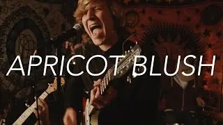 Apricot Blush - I Can See Your Bones // WSBF Live Sessions