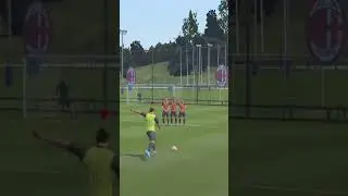 Ibrahimovic fifa 19
