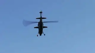 Z-10 Kampfhubschrauber 470er Gr&ouml;&szlig;e