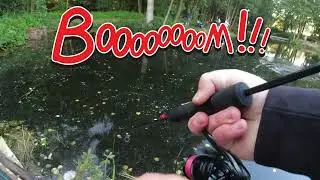 #064 Pepe&acute;s Geburtstagsangeln 2023 (Special Guest Kevin Eikamp von Probaits)
