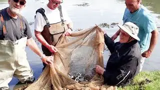 Juvenile bass surveys in Cornwall