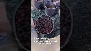 Kanche [Marbles] ki Making at 1600 Degrees Celsius - Duniya ka sabse muskil process...