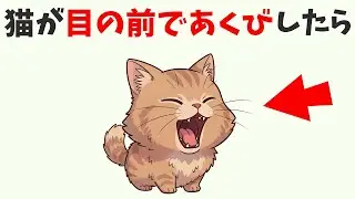 必見！【猫の豆知識】1割の人しか知らない驚きの猫雑学6選 #猫 #雑学 #豆知識 #トリビア