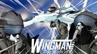 PROJECT WINGMAN - AOA ACTIVE