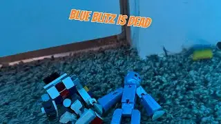 Blue blitz is dead