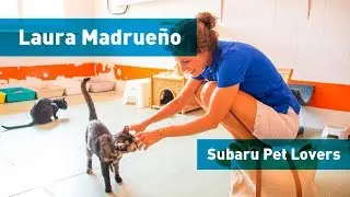 As&iacute; trabaja la protectora de animales ANAA