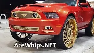 AceWhips.NET- Tampa Outrageous Ford Mustang 5.0 GT on Gold 30
