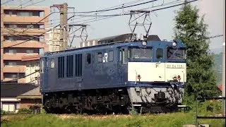 EF64 1051 単機回送　信越本線上り