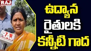 ఉద్యాన  రైతులకి  కన్నీటి గాద  | AP Farmers | Raj News Telugu