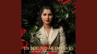 Marias vaggsång