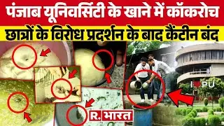 Chandigarh के University की Canteen के खाने में मिले Cockroaches, छात्रों का हंगामा, कैंटीन बंद