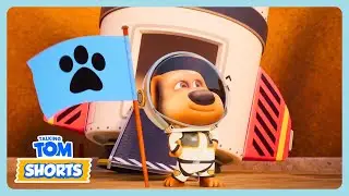 Talking Tom Shorts - Ben Goes to Space 🚀 | Funny Cartoons For Kids | WildBrain Max