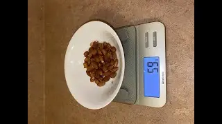 How To Use a Food Scale