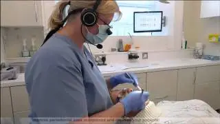 Voice Works Demonstration
