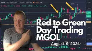 Watch Me Trade MGOL During Power Hour and Go From Red to Green!